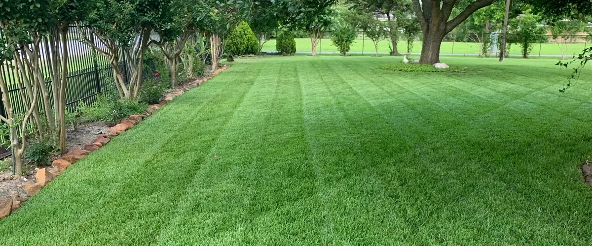 Finished lawn — wide shot